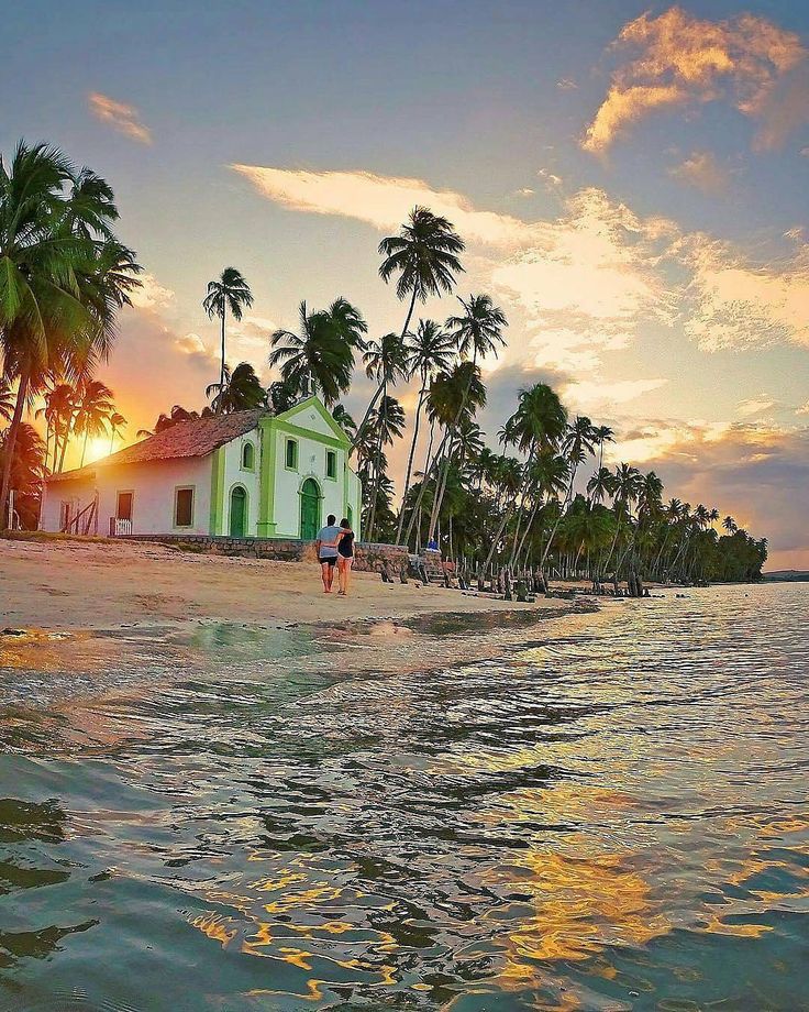 ATRAÇÕES EM PRAIA DE CARNEIROS - Vista tropical