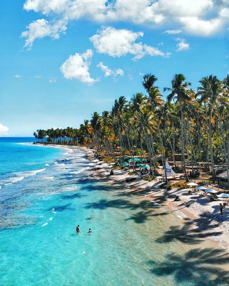 PRAIA DE CARNEIROS - Vista tropical