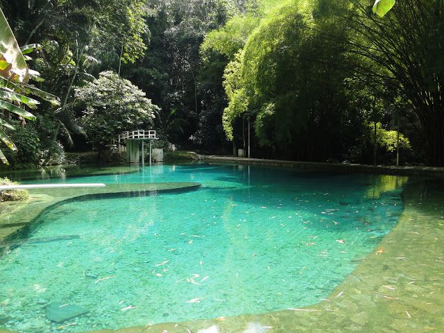 SANTUÁRIO ECOLÓGICO SANTA TEREZA - Vista tropical