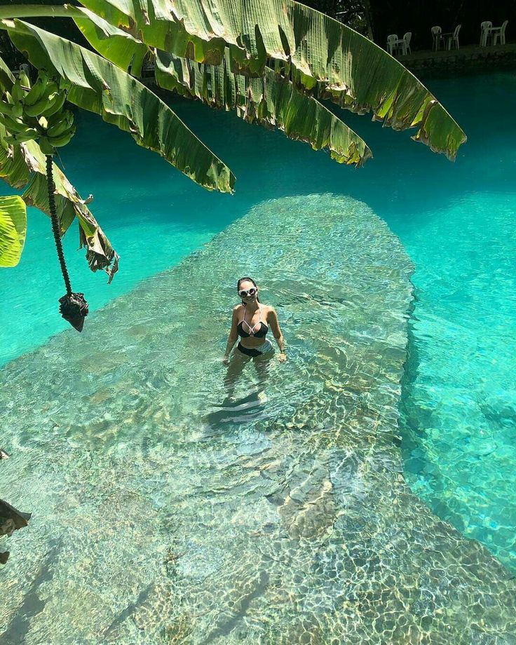 SANTUÁRIO ECOLÓGICO SANTA TEREZA - Vista tropical